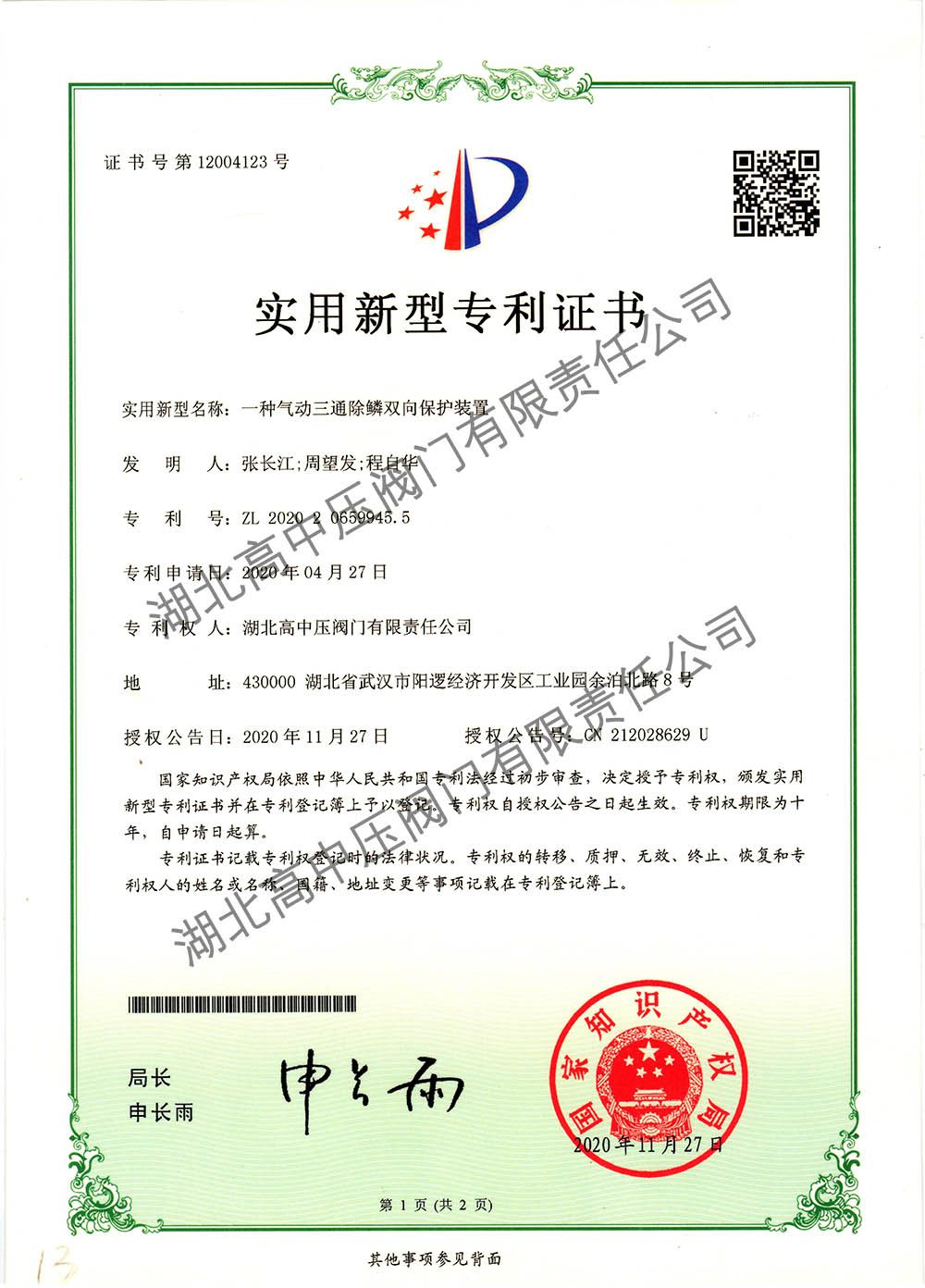 一種氣動(dòng)三通除鱗雙向保護(hù)裝置 拷貝